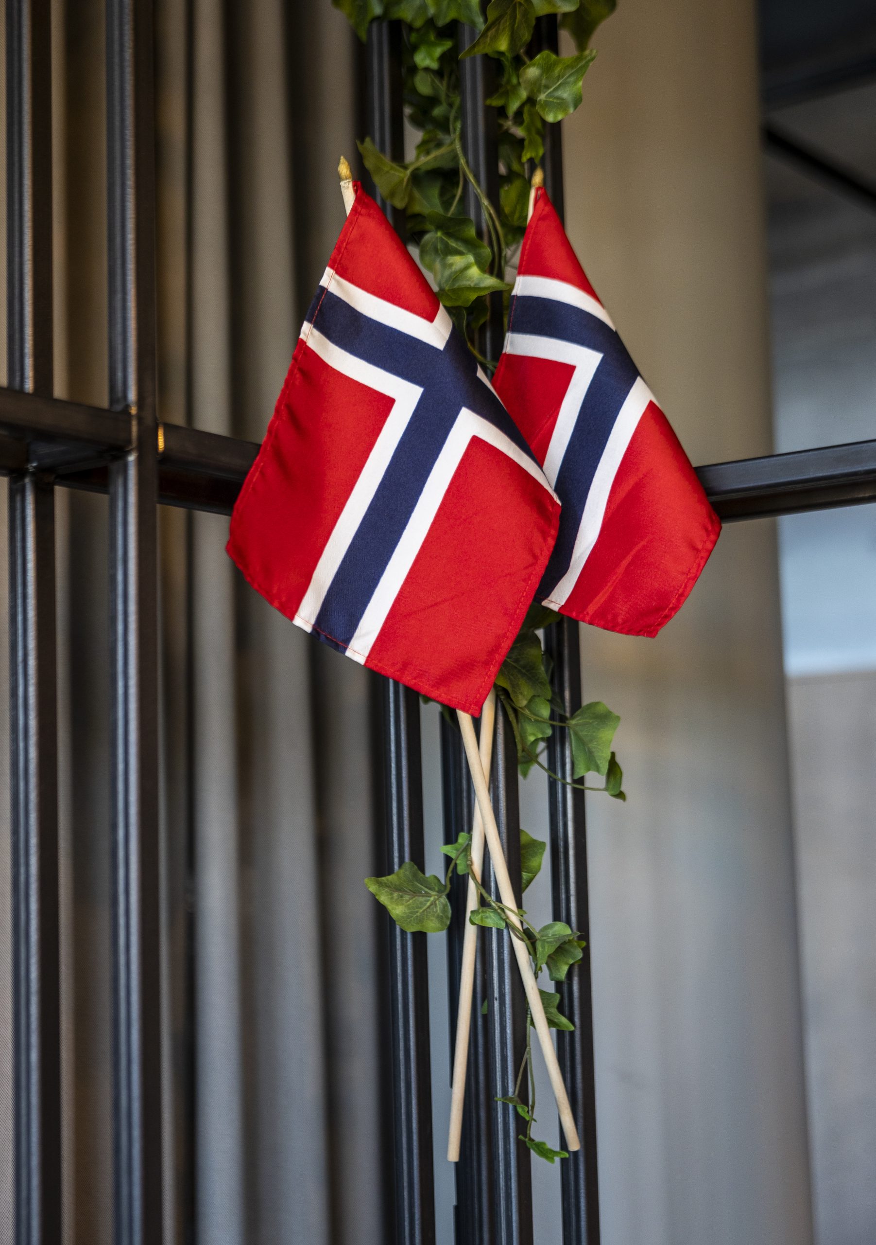 17. Mai famile shoot 81